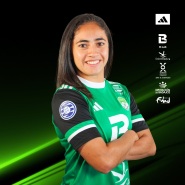D. Bareiro